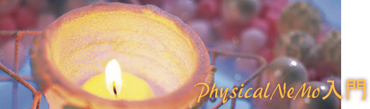 PhysicalNeMo����