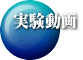 実験動画