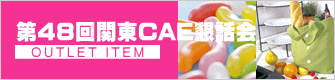 第48回関東CAE懇話会